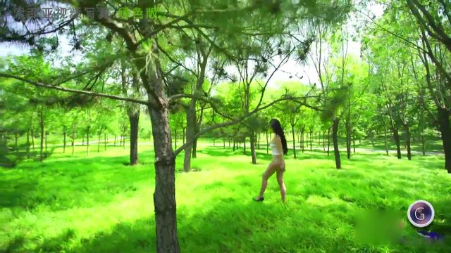 秀人果哥视频-索菲亚 女神小树林写真视频
